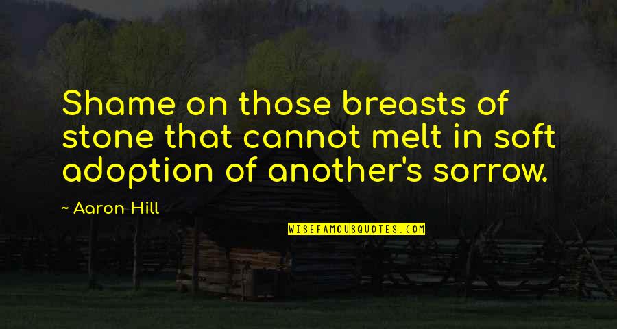 Kleinmans Eight Quotes By Aaron Hill: Shame on those breasts of stone that cannot