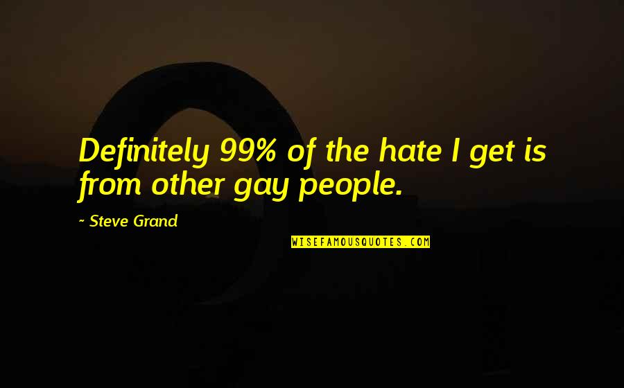 Kleinova Flasa Quotes By Steve Grand: Definitely 99% of the hate I get is