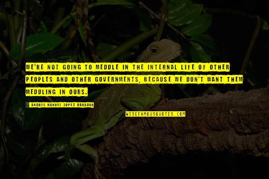 Kleinsasser Jersey Quotes By Andres Manuel Lopez Obrador: We're not going to meddle in the internal