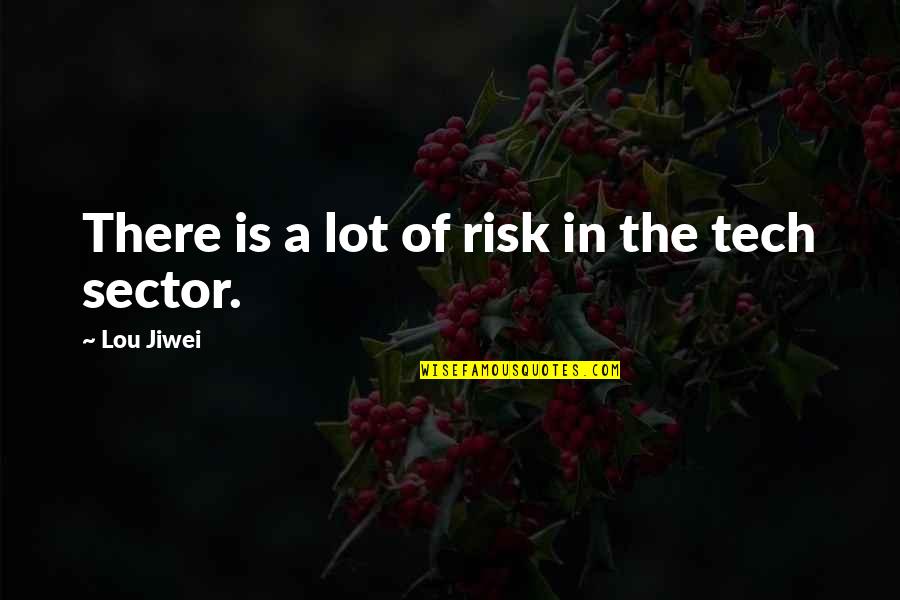 Kleitman And Aserinsky Quotes By Lou Jiwei: There is a lot of risk in the