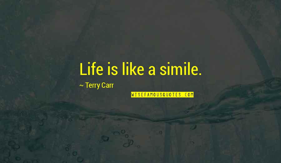 Kleptomancer Quotes By Terry Carr: Life is like a simile.
