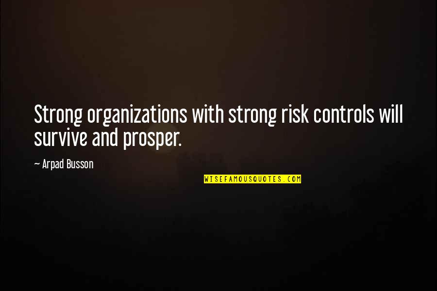 Klettersack Quotes By Arpad Busson: Strong organizations with strong risk controls will survive
