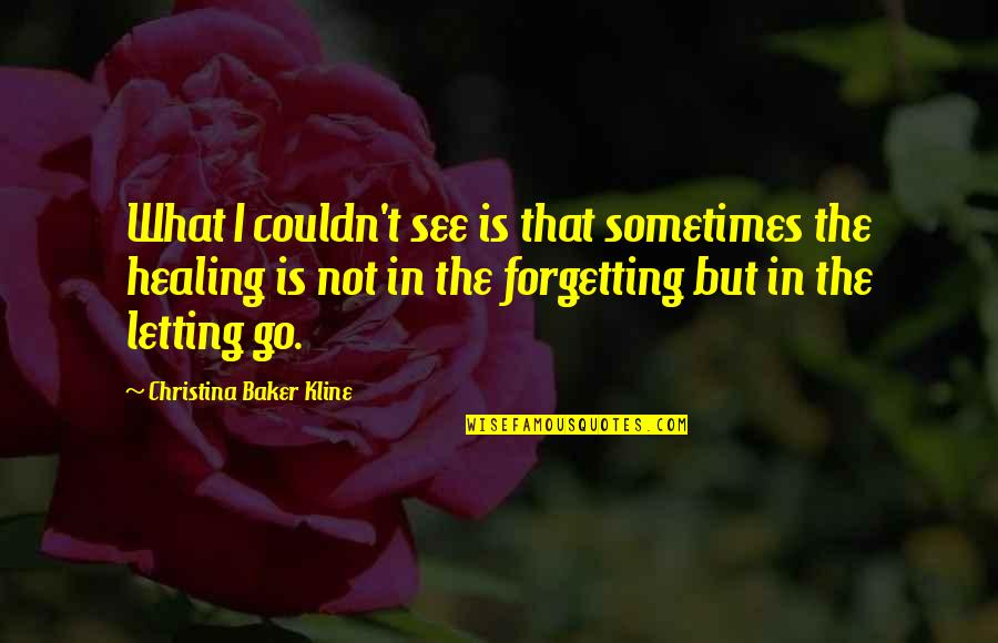 Kline Quotes By Christina Baker Kline: What I couldn't see is that sometimes the