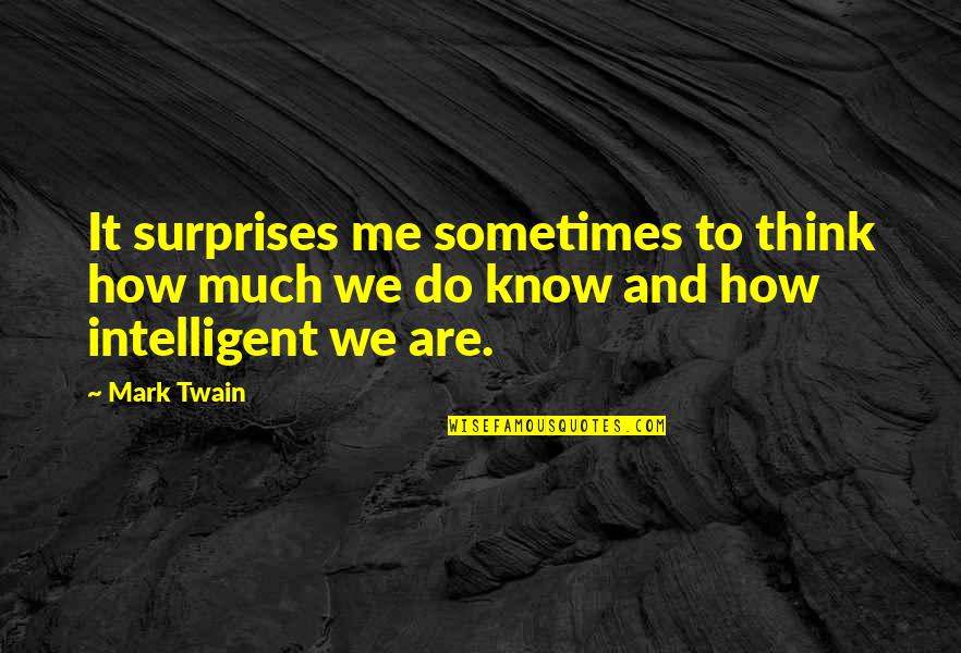 Klingberg Quotes By Mark Twain: It surprises me sometimes to think how much