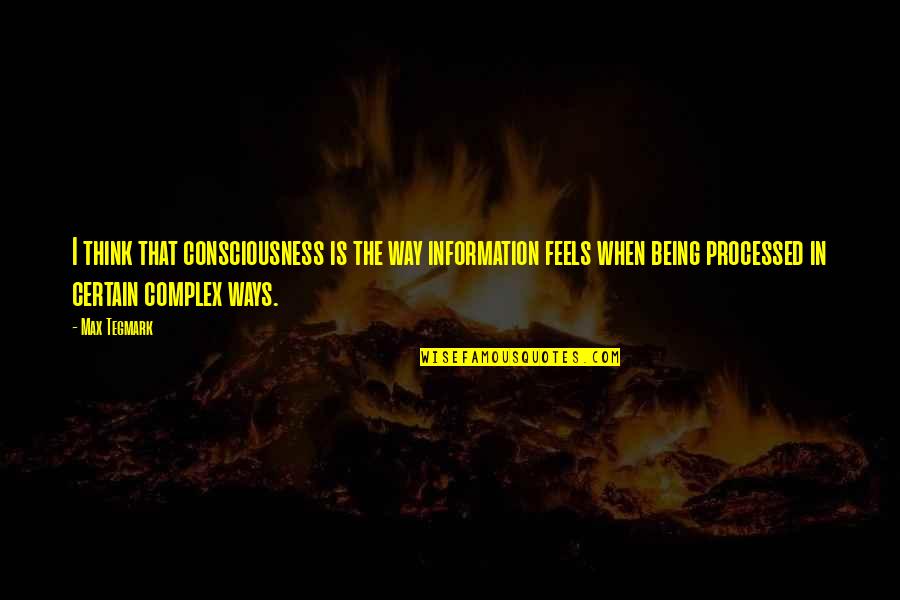 Klingelnberg Twin Quotes By Max Tegmark: I think that consciousness is the way information Klingelnberg Twin Quotes By Max Tegmark: I think that consciousness is the way information