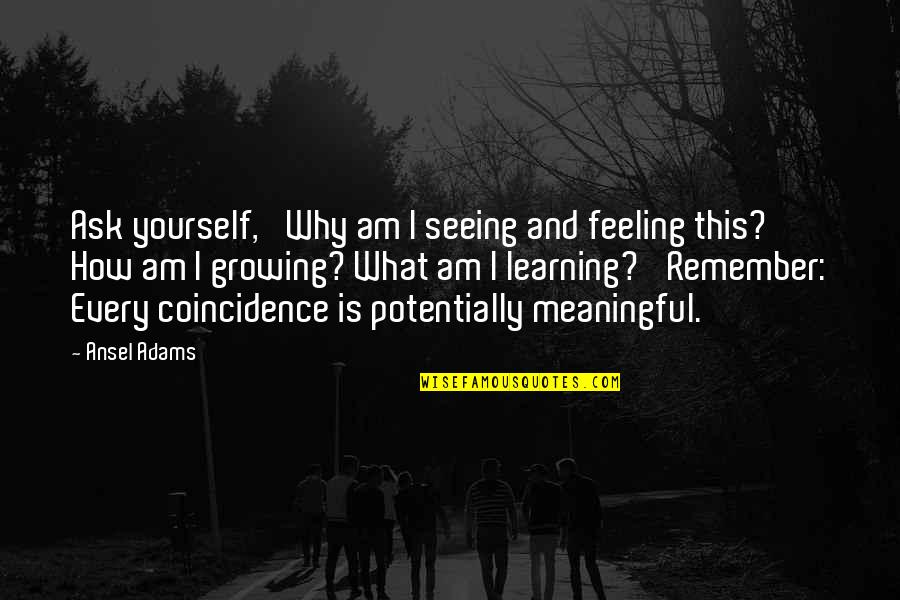 Klompen Classic Quotes By Ansel Adams: Ask yourself, 'Why am I seeing and feeling