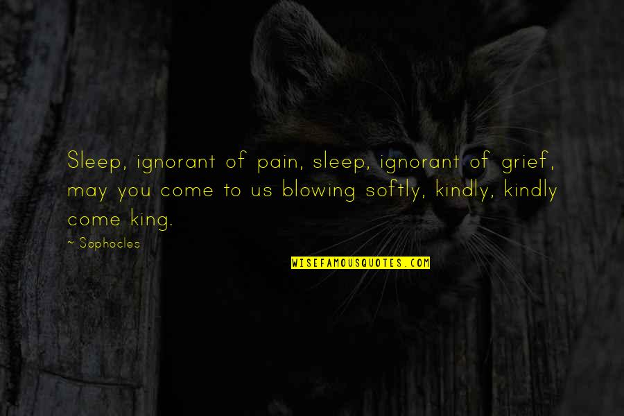 Klukowski Diary Quotes By Sophocles: Sleep, ignorant of pain, sleep, ignorant of grief,