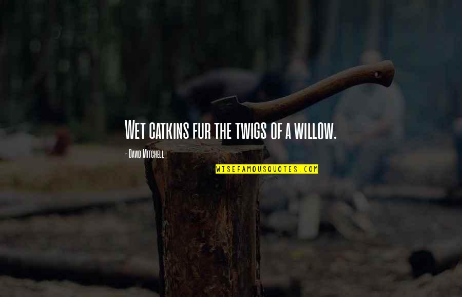 Klutz Crafts Quotes By David Mitchell: Wet catkins fur the twigs of a willow.