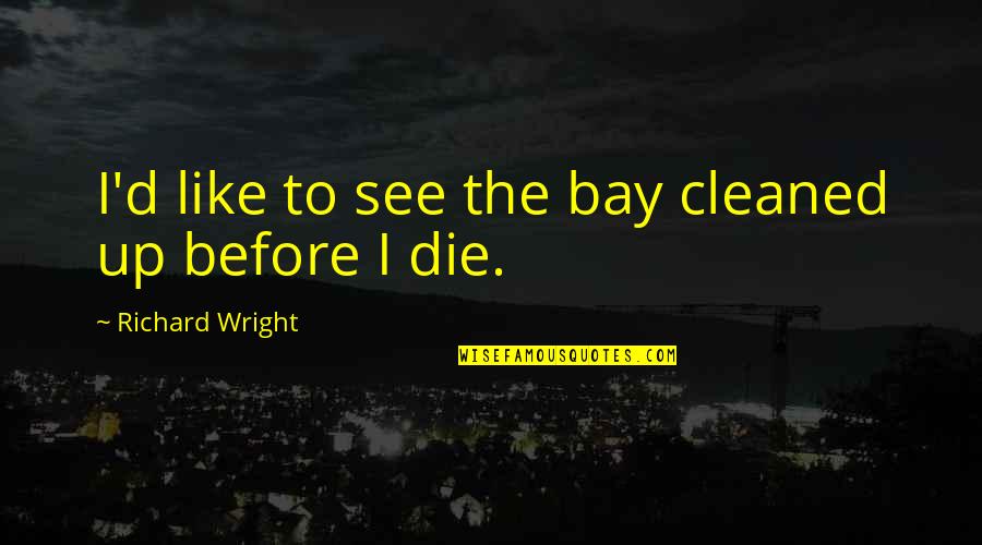 Kmeng Quotes By Richard Wright: I'd like to see the bay cleaned up Kmeng Quotes By Richard Wright: I'd like to see the bay cleaned up