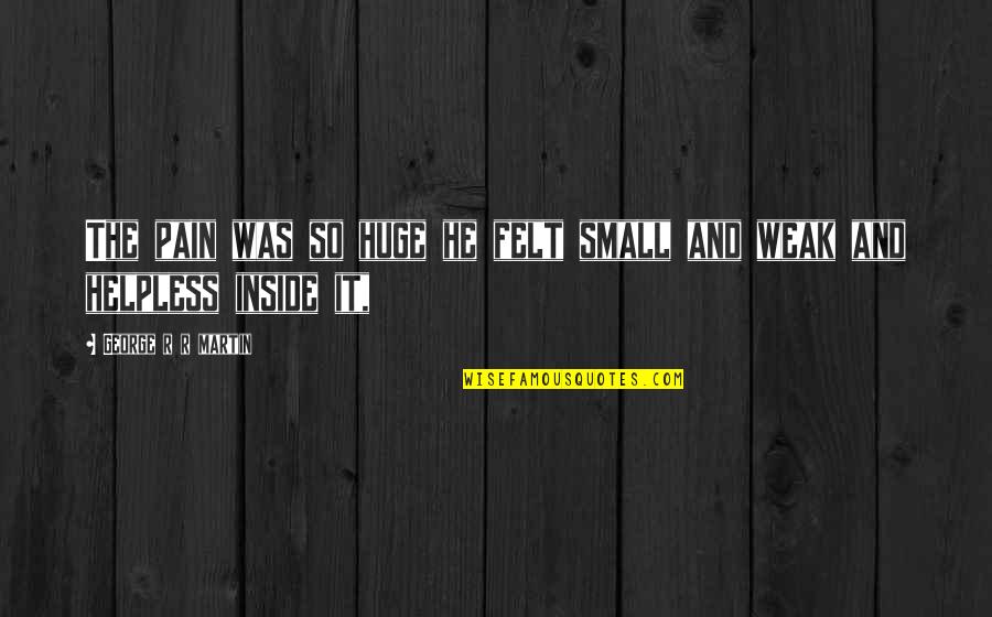 Kmetija Quotes By George R R Martin: The pain was so huge he felt small Kmetija Quotes By George R R Martin: The pain was so huge he felt small