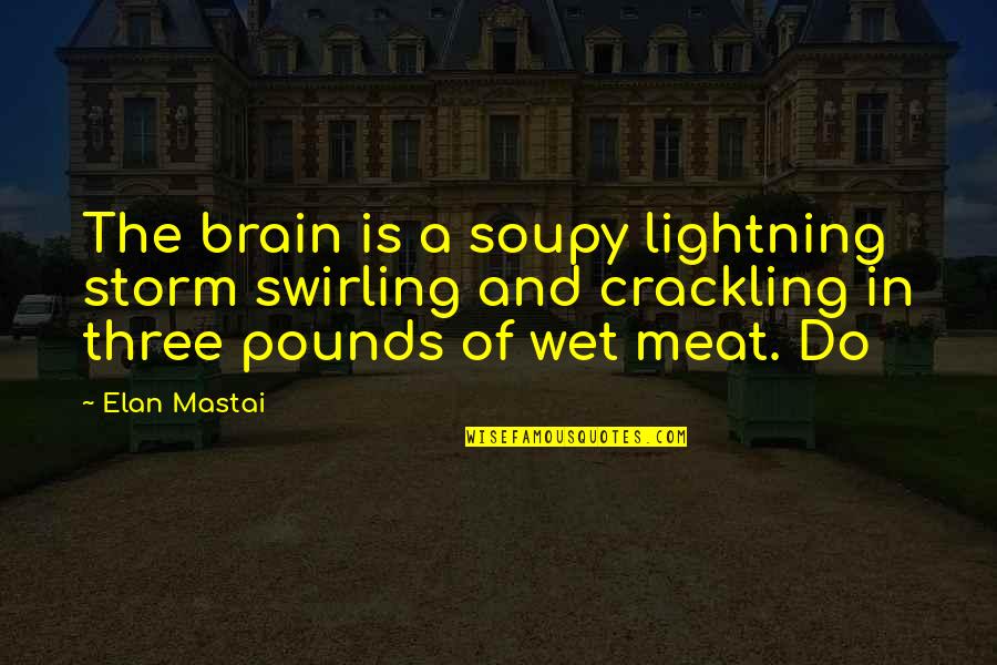 Kmit Mitchell Quotes By Elan Mastai: The brain is a soupy lightning storm swirling
