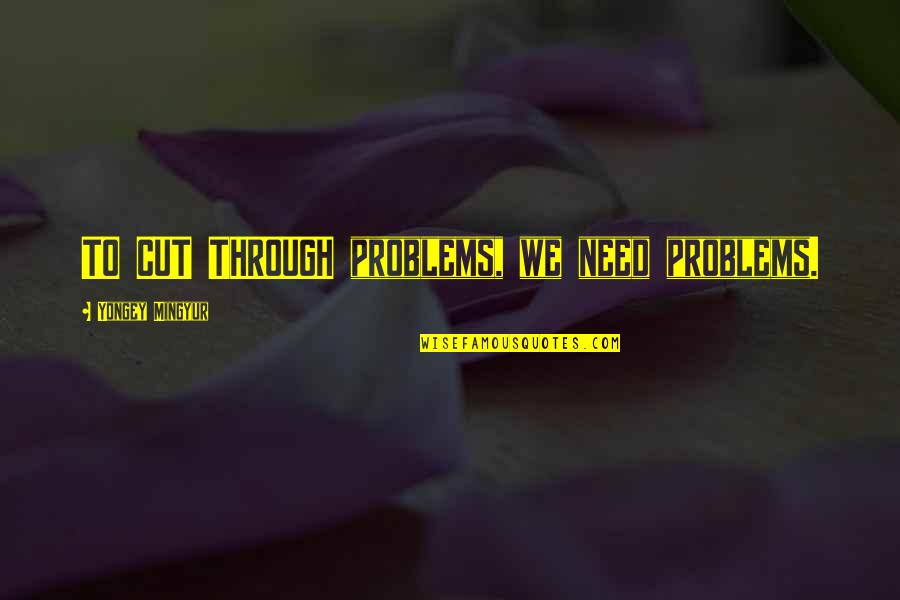 Knabenshue Family Quotes By Yongey Mingyur: TO CUT THROUGH problems, we need problems. Knabenshue Family Quotes By Yongey Mingyur: TO CUT THROUGH problems, we need problems.