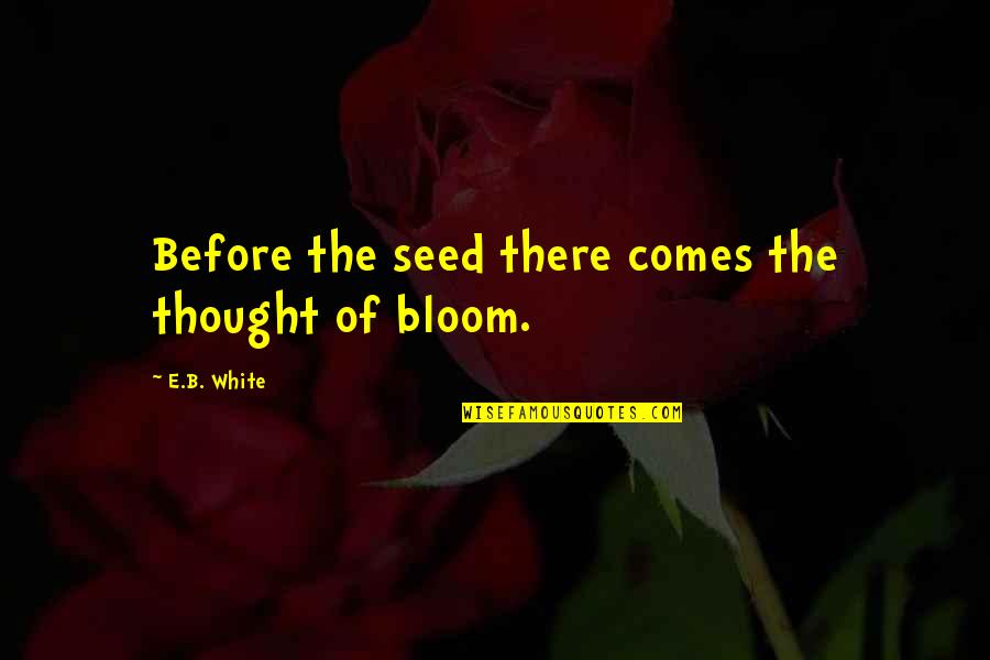 Knackery Quotes By E.B. White: Before the seed there comes the thought of Knackery Quotes By E.B. White: Before the seed there comes the thought of