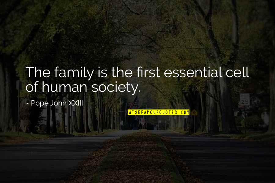 Knchan Quotes By Pope John XXIII: The family is the first essential cell of Knchan Quotes By Pope John XXIII: The family is the first essential cell of