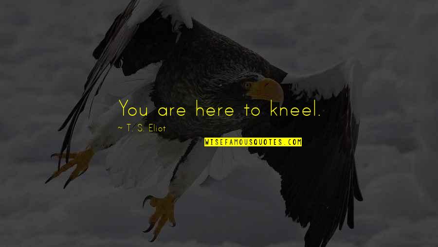 Kneel Quotes By T. S. Eliot: You are here to kneel.