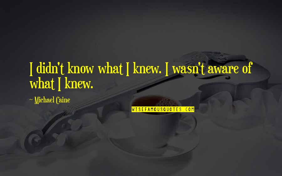 Knew I Quotes By Michael Caine: I didn't know what I knew. I wasn't Knew I Quotes By Michael Caine: I didn't know what I knew. I wasn't