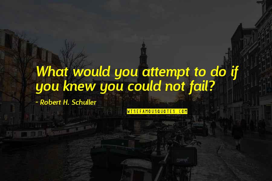 Knew You Could Do It Quotes By Robert H. Schuller: What would you attempt to do if you