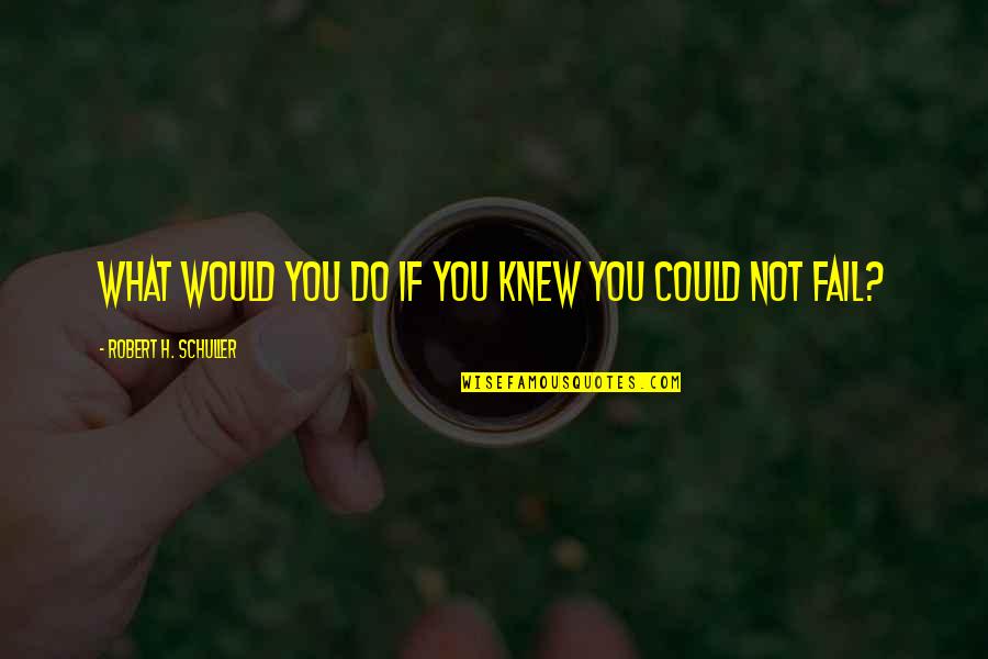 Knew You Could Do It Quotes By Robert H. Schuller: What would you do if you knew you