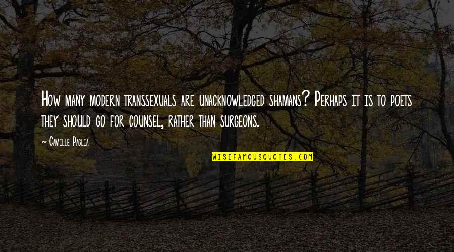 Knibbeler Quotes By Camille Paglia: How many modern transsexuals are unacknowledged shamans? Perhaps Knibbeler Quotes By Camille Paglia: How many modern transsexuals are unacknowledged shamans? Perhaps