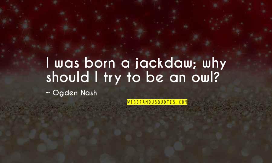Knickknacktoyshack Quotes By Ogden Nash: I was born a jackdaw; why should I Knickknacktoyshack Quotes By Ogden Nash: I was born a jackdaw; why should I
