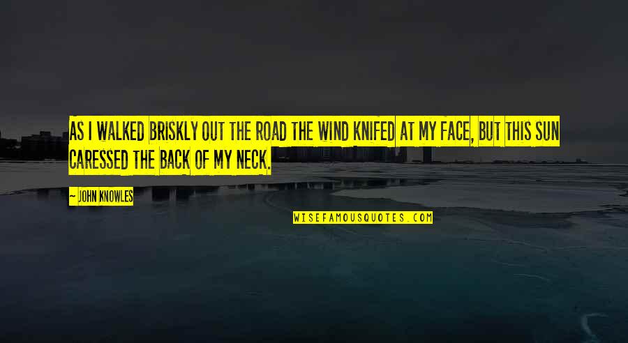 Knifed Face Quotes By John Knowles: As I walked briskly out the road the Knifed Face Quotes By John Knowles: As I walked briskly out the road the