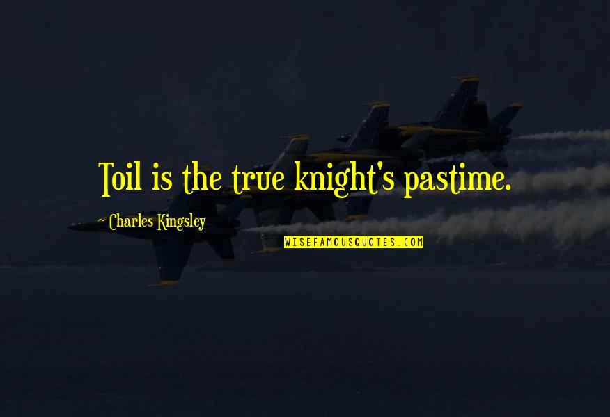 Knights Quotes By Charles Kingsley: Toil is the true knight's pastime.
