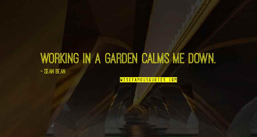 Kniw Quotes By Sean Bean: Working in a garden calms me down.