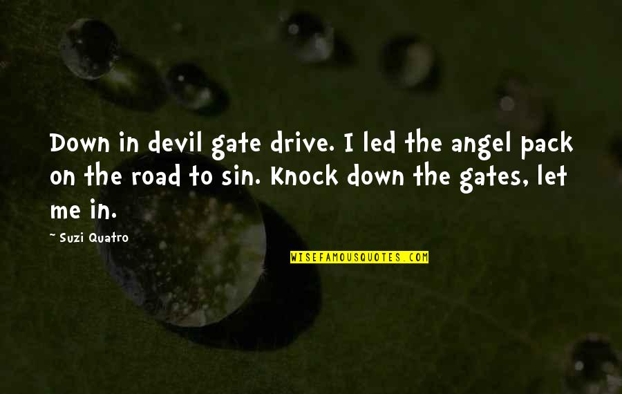 Knock Down Quotes By Suzi Quatro: Down in devil gate drive. I led the