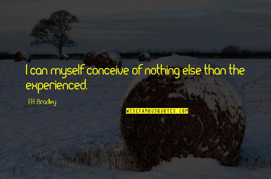 Knocknarea Quotes By F.H. Bradley: I can myself conceive of nothing else than