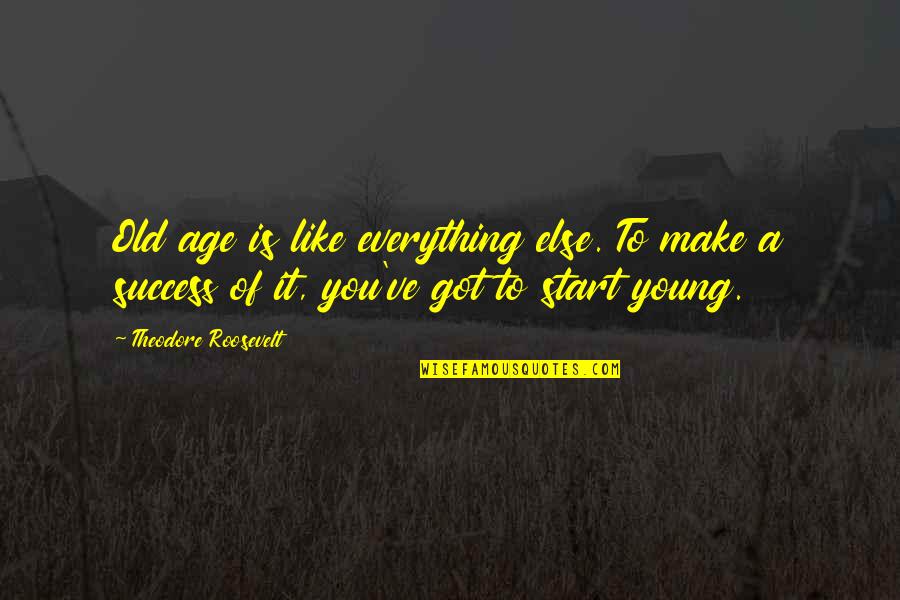 Knoebels Flying Quotes By Theodore Roosevelt: Old age is like everything else. To make Knoebels Flying Quotes By Theodore Roosevelt: Old age is like everything else. To make