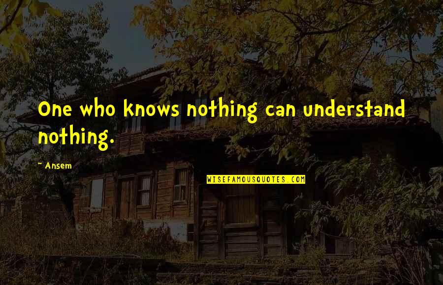 Knoledge Quotes By Ansem: One who knows nothing can understand nothing.