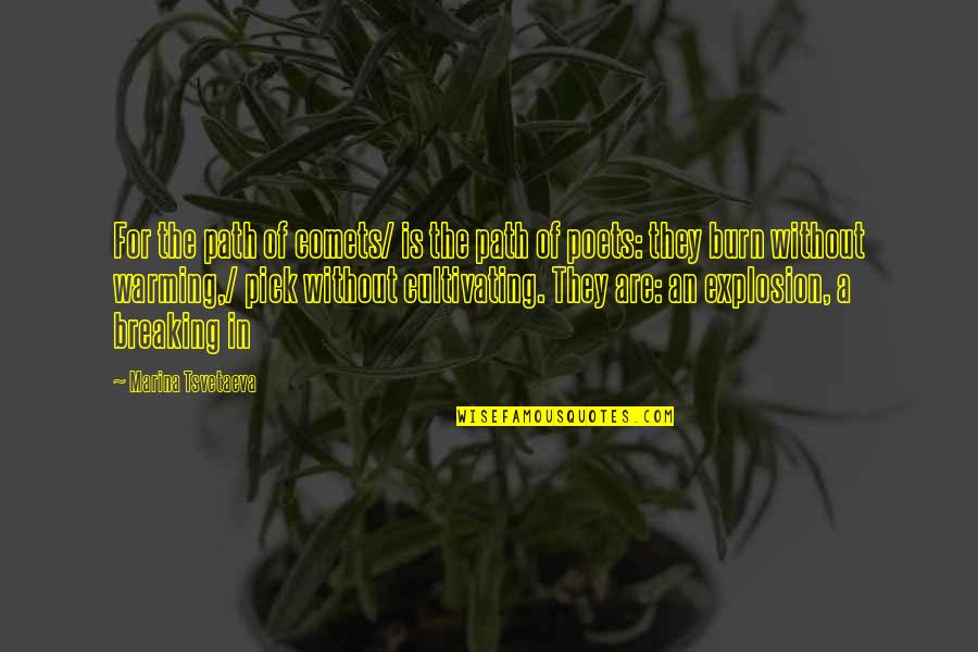 Knopen Doorhakken Quotes By Marina Tsvetaeva: For the path of comets/ is the path Knopen Doorhakken Quotes By Marina Tsvetaeva: For the path of comets/ is the path