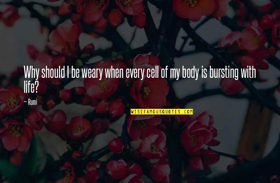 Knouted Quotes By Rumi: Why should I be weary when every cell