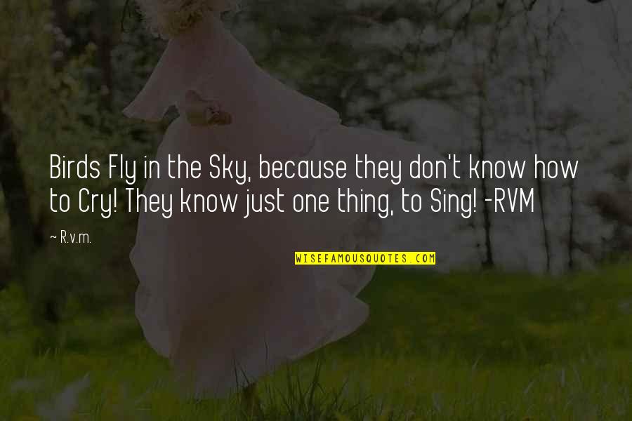 Know How To Fly Quotes By R.v.m.: Birds Fly in the Sky, because they don't Know How To Fly Quotes By R.v.m.: Birds Fly in the Sky, because they don't