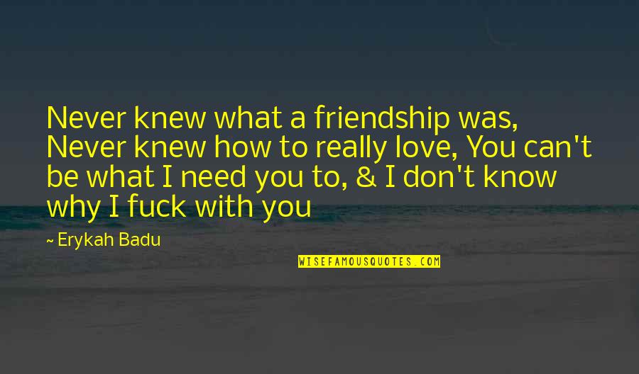 Know How To Love Quotes By Erykah Badu: Never knew what a friendship was, Never knew Know How To Love Quotes By Erykah Badu: Never knew what a friendship was, Never knew