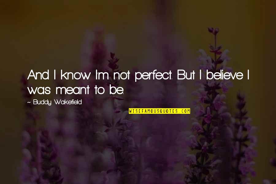 Know I'm Not Perfect Quotes By Buddy Wakefield: And I know I'm not perfect. But I