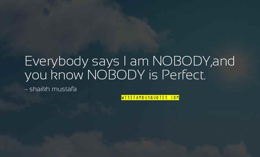 Know I'm Not Perfect Quotes By Shaikh Mustafa: Everybody says I am NOBODY,and you know NOBODY