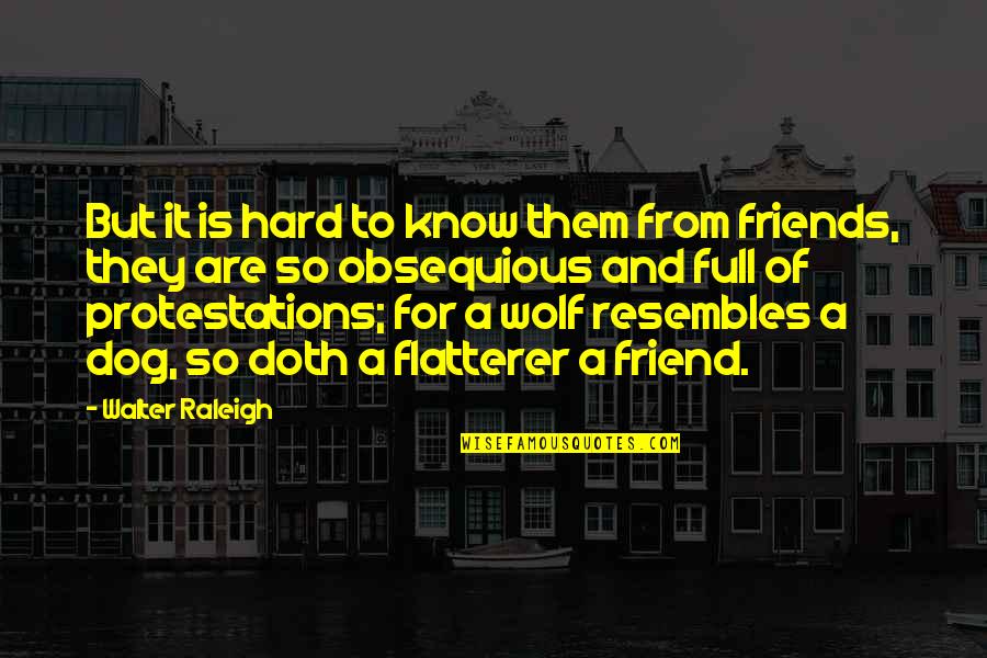 Know It All Friends Quotes By Walter Raleigh: But it is hard to know them from Know It All Friends Quotes By Walter Raleigh: But it is hard to know them from