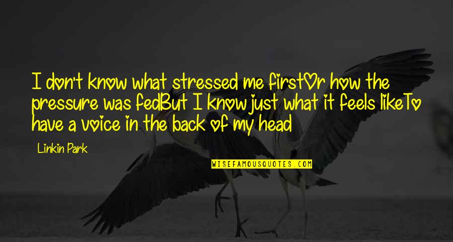 Know Me First Quotes By Linkin Park: I don't know what stressed me firstOr how