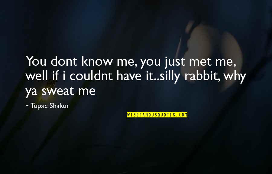 Know Me Well Quotes By Tupac Shakur: You dont know me, you just met me, Know Me Well Quotes By Tupac Shakur: You dont know me, you just met me,
