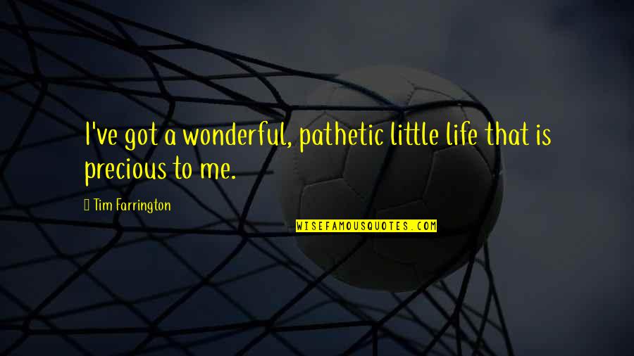 Know The Facts Before You Speak Quotes By Tim Farrington: I've got a wonderful, pathetic little life that