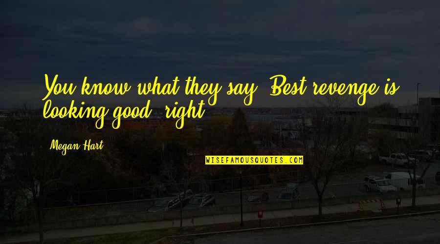 Know What You Are Looking For Quotes By Megan Hart: You know what they say. Best revenge is