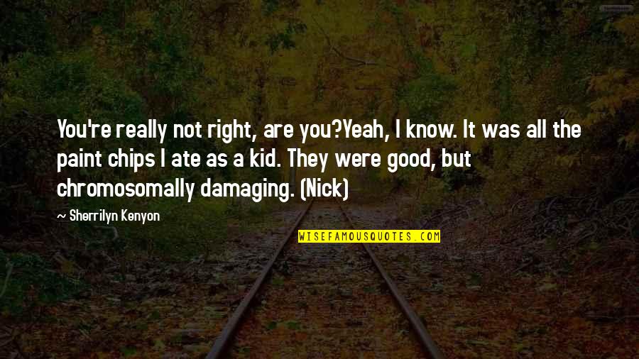Know You Were Right Quotes By Sherrilyn Kenyon: You're really not right, are you?Yeah, I know. Know You Were Right Quotes By Sherrilyn Kenyon: You're really not right, are you?Yeah, I know.