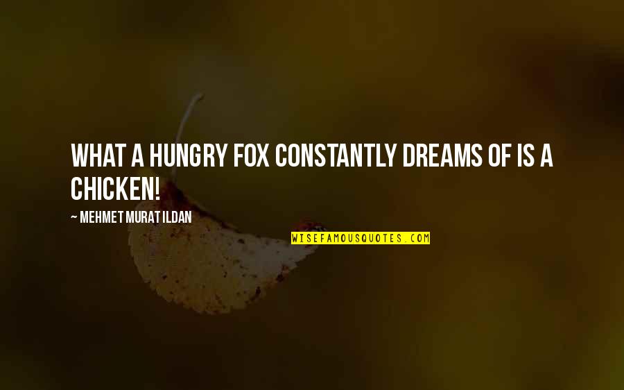 Knowers Quotes By Mehmet Murat Ildan: What a hungry fox constantly dreams of is