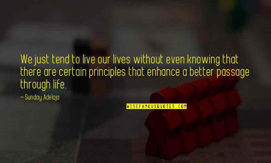 Knowing Better Quotes By Sunday Adelaja: We just tend to live our lives without