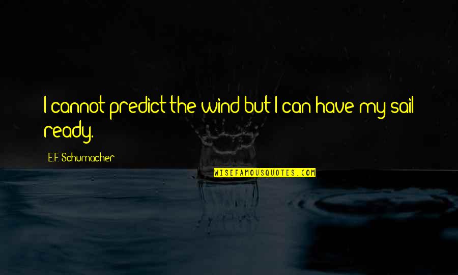 Knowing If Someone Cares Quotes By E.F. Schumacher: I cannot predict the wind but I can