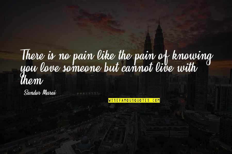 Knowing If You Love Someone Quotes By Sandor Marai: There is no pain like the pain of