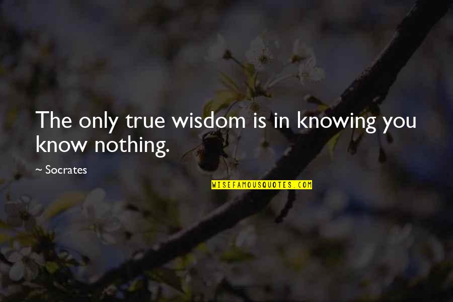 Knowing Nothing Quotes By Socrates: The only true wisdom is in knowing you