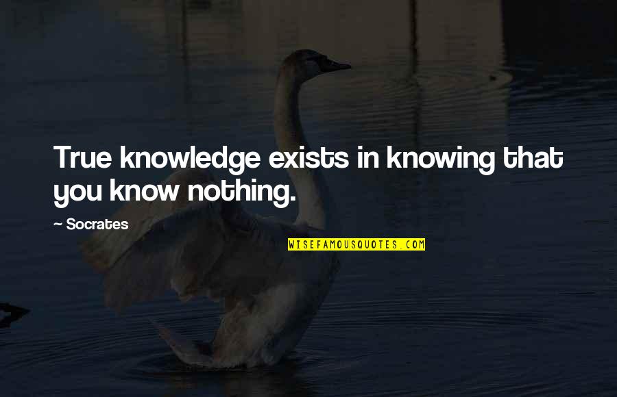Knowing Nothing Quotes By Socrates: True knowledge exists in knowing that you know