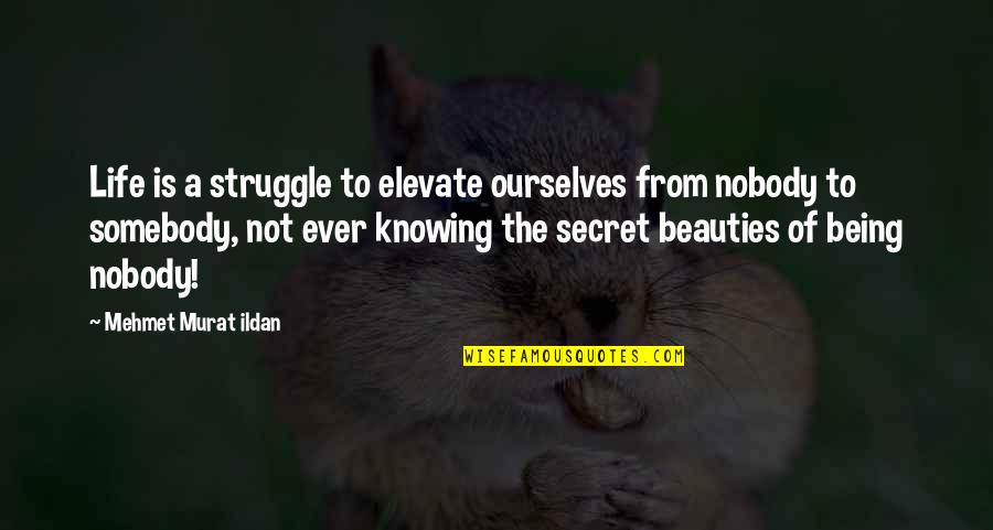 Knowing Ourselves Quotes By Mehmet Murat Ildan: Life is a struggle to elevate ourselves from